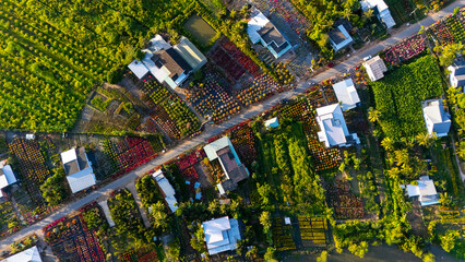 Aerial view of Cho Lach flower garden in Ben Tre, Vietnam. It's famous in Mekong Delta, preparing...