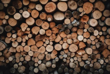 Möbelaufkleber stack of firewood © Master-L