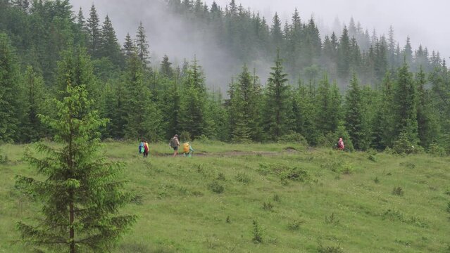 Descent of tourists from the Carpathian mountains.