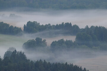 Morning fog rolling across the landscape