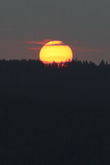 The sun rising over the forest horizon