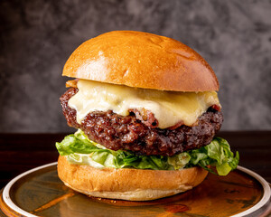 hamburger with cheese on a plate