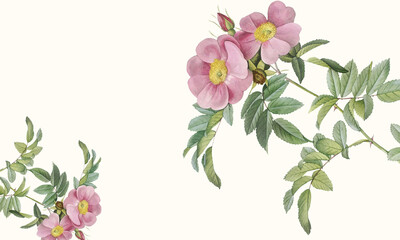 Watercolor floral bouquet illustration set - blush pink  flower green leaf leaves branches bouquets collection