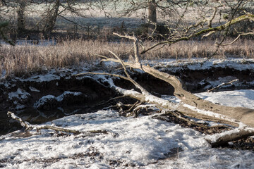 ice crystals and frost on the bed of the River Hamble Hampshire England on a cold winter day