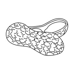 Peanut isolated on white. Black and white vector illustration