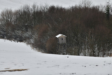 Hunting hidden cottage from wooden in meadow near forest in winter