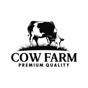 Vintage Cattle logo design. Angus Beef logo inspiration vector