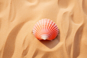 Fototapeta na wymiar A single pink color seashell on smooth golden sand in bright sun light flat lay. Summer sea life vocation holidays concept