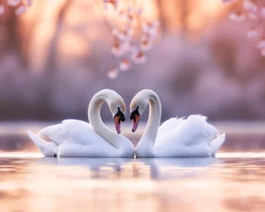 Foto op Aluminium Swans forming heart © Rouven