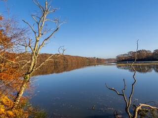 view of Autumn coloured trees and blue sky reflecting in the River Hamble Hampshire England