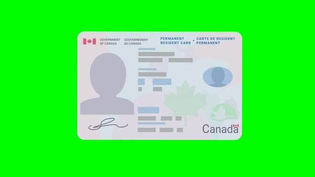 A hand presents a permanent resident card of Canada in flat design style on green screen, blue backgrouns, transparent background with alpha channel