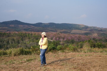 Asian female tourists on holiday stand admiring the view of cherry blossom trees in full bloom in the pink valley.