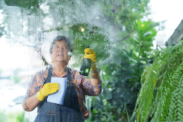 Businessman, small cafe owner, elderly retired woman, Asian pensioner, plaid shirt and overalls, apron. using glass cleaner to spray glass. clean outside  cafe The coffee shop bakery  family business.
