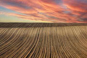 Plowed field and red sunset sky landscape