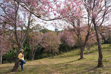 female backpacker sits on a forested mountain with cherry blossom trees blooming in the valley behind.