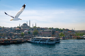 Istanbul Eminönü District, Istanbul View. Türkiye.