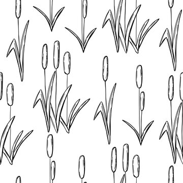 River landscape with snones and reed grass in hand drawn sketch style