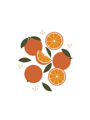 Art print. Orange fruit. Modern design for posters, cards, cover, t-shirt.