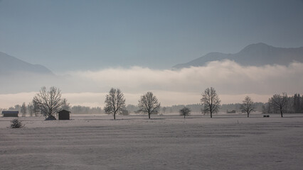 Winterlandschaft mit Nebel