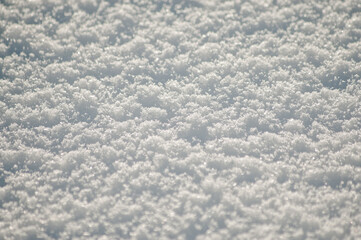 gray background, photo shows snow close-up