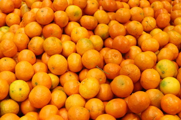 Vegetables and fruits are sold in January at the bazaar in Tel Aviv.