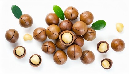 isolated macadamia nuts on white background top view