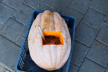 Vegetables and fruits are sold in January at the bazaar in Tel Aviv.