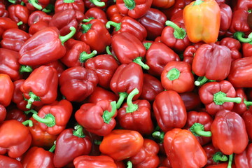 Vegetables and fruits are sold in January at the bazaar in Tel Aviv.