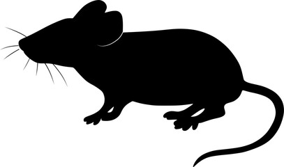 illustration of a silhouette of a mouse