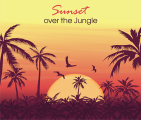 Fototapeta na wymiar sunset over the jungle