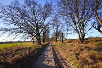 A touch of spring, first sunny days of the year in Berlin-Gatow