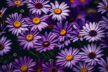 Fototapeta premium floral pattern