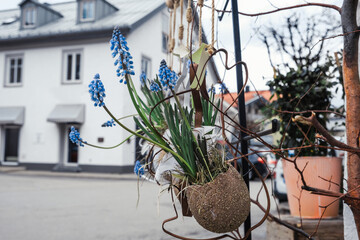 Spring Easter decor. Spring flower arrangements.