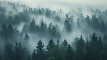 Foto op Plexiglas A dense foggy forest at dawn. © Legano
