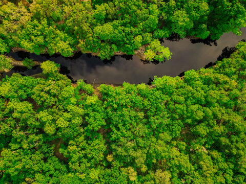 Withlacoochee River