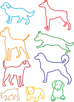 ANIMAL DE COMPAGNIE