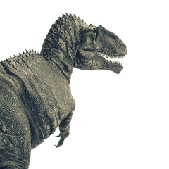 giganotosaurus is looking for food on white background in rear view © DM7