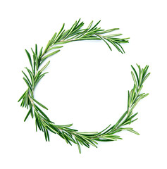 Rosemary twig on white backgrounds