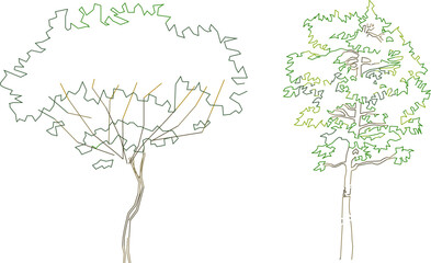 vector illustration design, collection of simple tree plant sketches for graphic completeness 