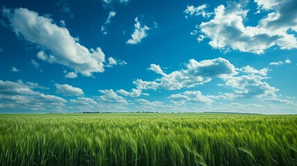 cinematic eye catching view green field and blue sky generated by ai