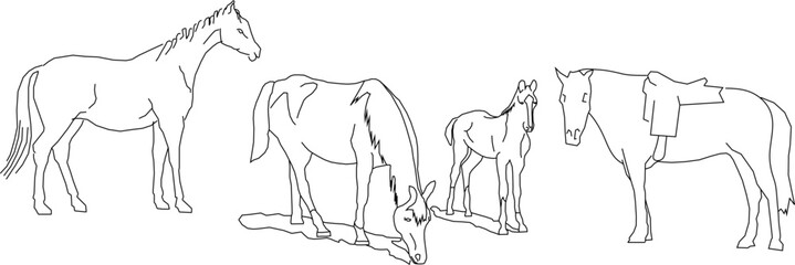 Vector sketch illustration design of a group of horses in the arid desert