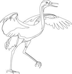 Vector sketch illustration of aesthetic crane bird animal design