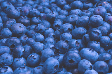 Fresh blueberry background. Texture blueberry berries close up.