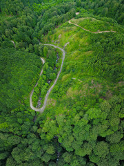 Aerial drone view above an exploitation of a beech forest inside the mountains. A sinuous road makes an u-turn when crossing over a stream flowing in the valley. The forest is regenerating. Carpathia.