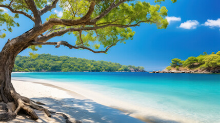 Palm and tropical beach blue sea.