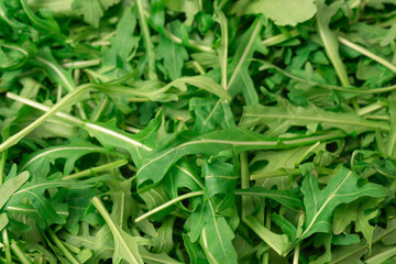 Fresh leaves of arugula as a background.