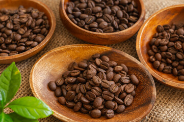 Fototapeta premium 色々な品種のコーヒー
