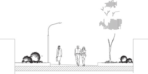 Vector sketch illustration of garden path environmental section design with vegetation