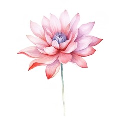 watercolor flowers, illustrations in handmade watercolor style on a white background, generative ai	