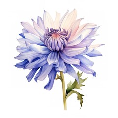 watercolor flowers, illustrations in handmade watercolor style on a white background, generative ai	